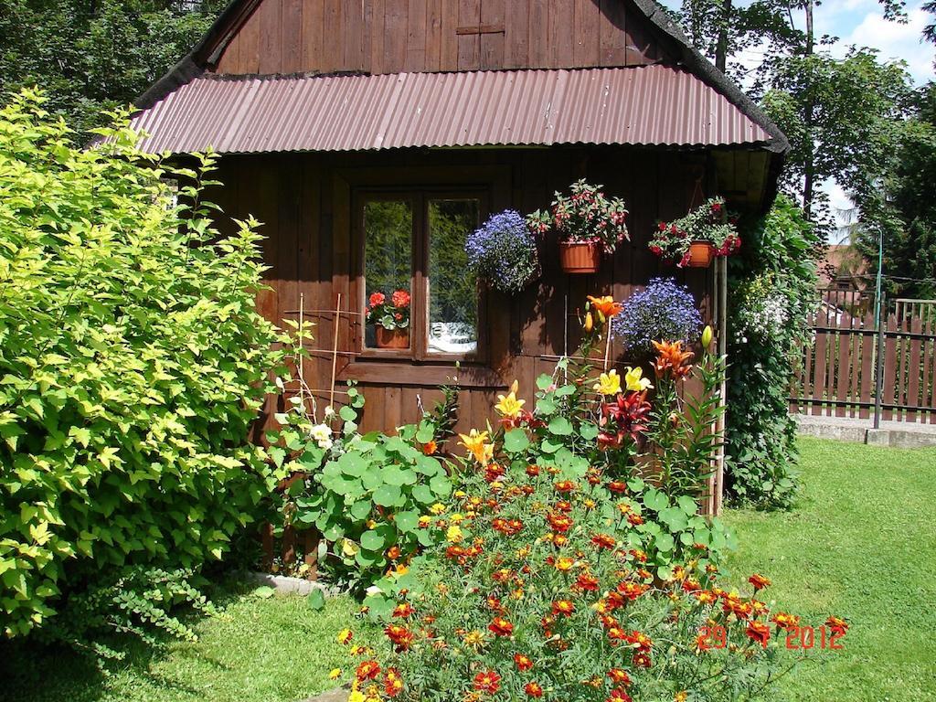 Modrzew Apartment Zakopane Bagian luar foto
